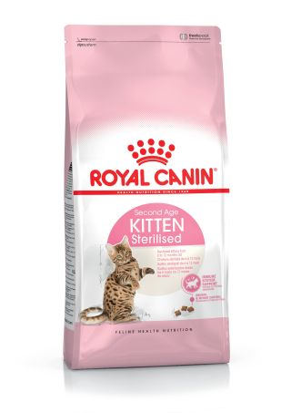 Kitten Sterilised